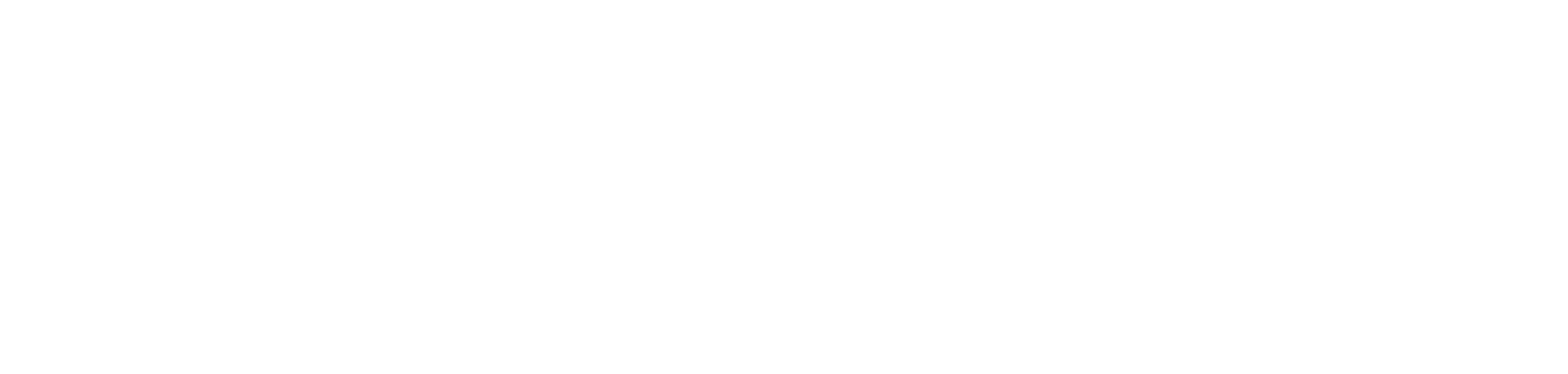Flonergia